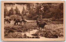 Postcard - Down On The Farm - Bloomingburg, New York picture