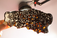 163g Natural meteorite,Slice olive meteorite-from Kenya SERICHO,collection N3697 picture