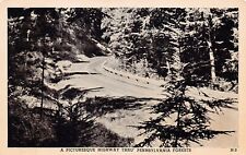 Reynoldsville PA Pennsylvania Forest Highway Jefferson County Vtg Postcard Z6 picture