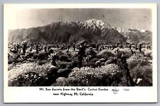 Postcard Mt. San Jacinto Devil's Cactus Garden Highway 99 California RPPC    G 5 picture