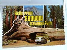 California Sequoia National Park Postcard Old Vtg Card Hello From  picture