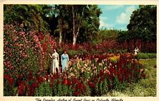 Orlando FL The Popular Hedge of Sweet Peas on Lake Eola Vtg Postcard View picture