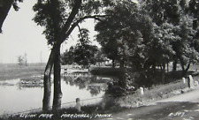 Vintage Marshall MN Lyon County Legion Park Real Photo Postcard RPPC 1940-50s picture