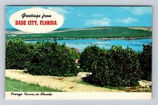 Dade City FL-Florida, Scenic Greetings, Orange Groves, Vintage Souvenir Postcard picture