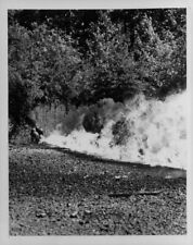 1945 In action armys new one man portable flame thrower Press Photo picture
