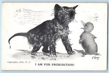 V Colby Signed Postcard I AM For Prohibition Cat And Duckling Butte Montana MT picture