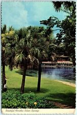 Postcard - Beautiful Florida's Silver Springs picture