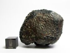 NWA 869 Meteorite 89.20g Beautifully Shaped Chondrite picture