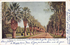 Palm Trees on Magnolia Avenue, Riverside, California, Early Postcard, Used picture