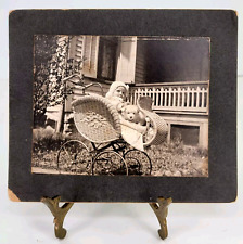 Antique Photo ID'd Child with Dog Puppy Pet Baby Carriage Mounted Photograph picture