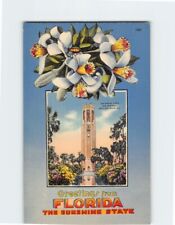 Postcard The Singing Tower Greetings from Florida USA picture