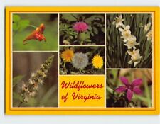Postcard Wildflowers of Virginia USA picture