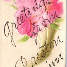 c1910s Preston, MN Greetings Mica Glitter Novelty Embossed Postcard Minn A170 picture