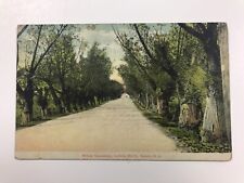 vintage 1913 Willow Causeway Salem N J divided back post card picture