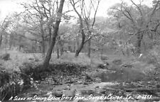 Guthrie Center Iowa~Spring Brook State Park~Muddy Creek~Picnic Tables~1950s RPPC picture