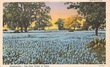 Stamford TX Texas Bluebonnets Blue Flowers Field Farm Scenic Vtg Postcard A32 picture
