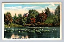 Rochester NY-New York, Maplewood Park, Lily Pond, Souvenir Vintage Postcard picture