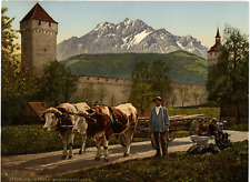 P.Z. Switzerland, Lucerne, Musegg & Pilatus Vintage Print, Switzerland Photochromy, picture