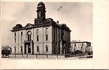 Cameron County Courthouse Brownsville Texas TX Vintage Albertype Postcard L66 picture