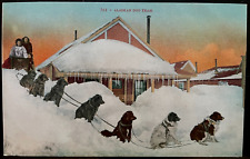 Vintage Postcard 1907-1915 Alaskan Dog Sled Team picture