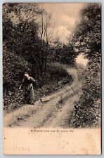 Postcard A Country Lane Near St. Louis Women With A Basket Missouri Posted 1912 picture