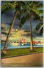 Vtg Palm Beach Florida FL Palm Trees Moonlight City Skyline 1930s View Postcard picture