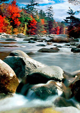 New England Postcard Fall Colors and River - 3D Lenticular picture