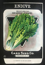 1920s Litho Antique Vintage Card Seed Co. Packet Pack Endive broad Leaved Unused picture