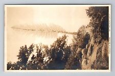 Mt Wilson CA-California RPPC, Yucca In Bloom, Antique Vintage Postcard picture