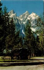C. 1952 Grand Teton National Park Wyoming Chrome VTG Postcard Trees Mountains picture