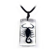 Real Black Scorpion Necklace - Rectangular See Thru Background  picture