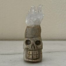 Natural Crystal Cluster Mineral Specimen Hand Carved Skull Protector Healing picture