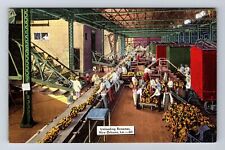 New Orleans LA-Louisiana, Unloading Bananas, Antique, Vintage Postcard picture