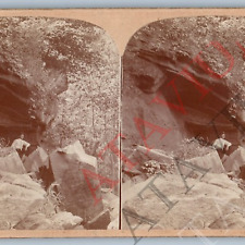c1900s Generic Man Nature Outlook Outdoors Spelunking Real Photo Stereoview V42 picture