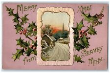 c1910 Merry Xmas From Seavey Minnesota Embossed Glitter Vintage Antique Postcard picture