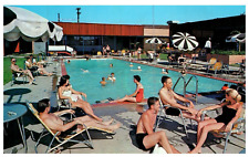 The Shreveporter Shreveport, Louisiana Motel Advertising Vintage 1968 Postcard picture