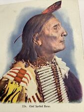 C 1905 Postcard Native American Indian Chief Spotted Horse C1905 Undivided Back picture