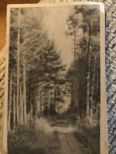 The Road Through Forest RPPC real Photo Postcard Antique Vintage 1910s picture
