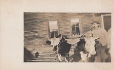 1913 RPPC of Mr. Frank Butterfield of Groton, NH New Hampshire Cattle Cows Yoke picture