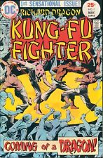 RICHARD DRAGON KUNG-FU FIGHTER #1 ~ DC COMICS 1975 ~ VF picture