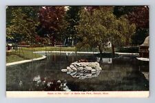Detroit MI-Michigan, Seals In Zoo At Belle Isle Park, Antique, Vintage Postcard picture