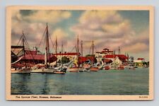 Postcard Sponge Fleet in Nassau Bahamas, Vintage Linen N2 picture