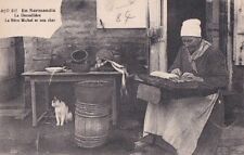 CPA 14 NORMANDY Calvados Environs BAYEUX Lacemaker at Work & His Cat 1907 picture