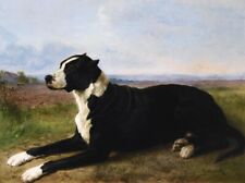 Oil painting Portrait-of-a-Mastiff-Labrador-in-a-Landscape-Rosa-Bonheur-Oil-Pain picture
