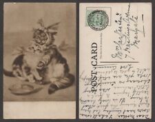 1909 Cat Postcard – Kittens – I Don't Know Why I Love You picture
