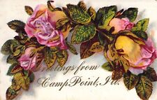 c.'0, Camp Point, Beautiful Flowers, Quincy,IL area, Old Post Card picture