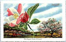 Postcard - Michigan State Flower By Ken Haag - Michigan picture