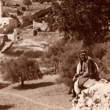 Vintage 1956 RPPC Bethany Al-Eizariya Village Postcard Mount Olives Tomb Lazarus picture