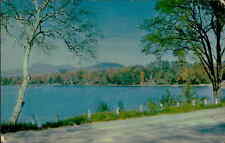 Postcard: Pontoosuc Lake-Pittsfield in the Berkshires, Mass picture