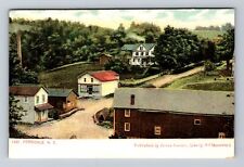 Ferndale NY-New York, Scenic View, Antique, Souvenir, Vintage Postcard picture